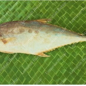Leather Skin Fish | Paarai |கட்டா