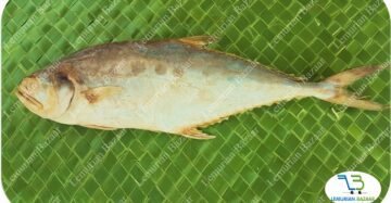 Leather Skin Fish | Paarai |கட்டா