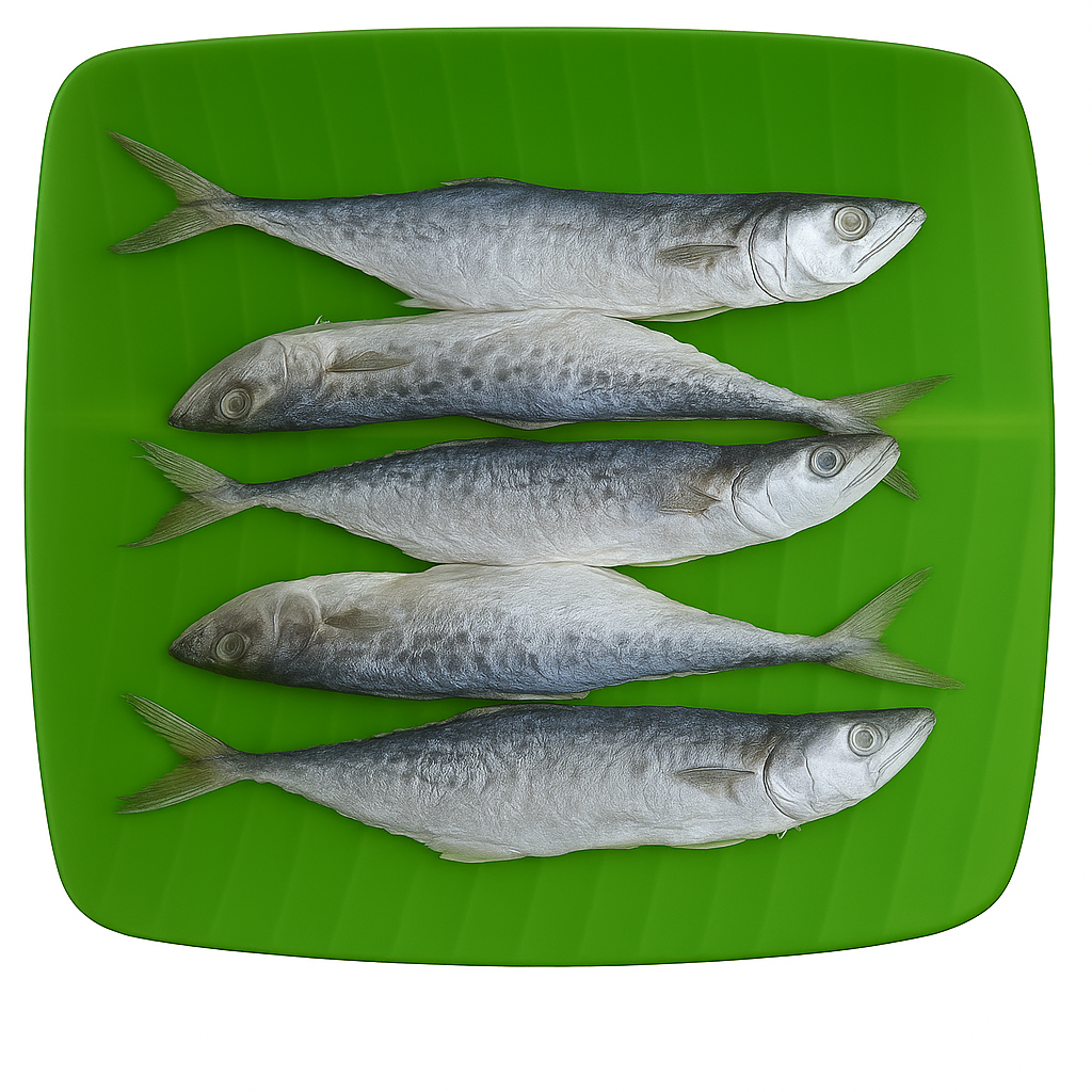 King Fish/Sheer Fish/Sheela/Neimeen/Vanjaram/வஞ்சரம்-Small