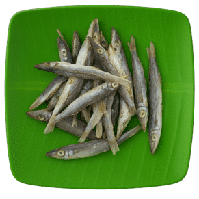 Barcuda | Ooli | ஊழி