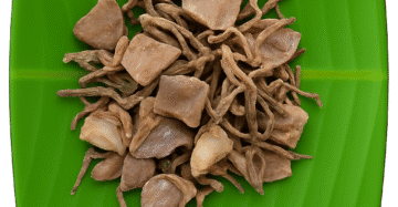 Octopus | கூந்தல் கனவா