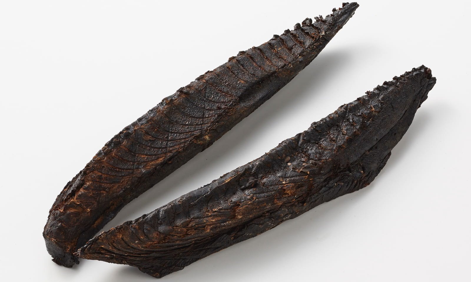 15 . Tuna | மாசி கருவாடு