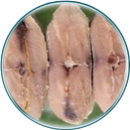 02 . King Fish | வஞ்சரம்