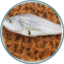 06 . Cod Fish | பண்ணா