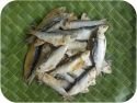 08 . Sardines | சூடை