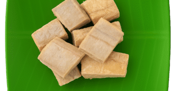 Milk Shark | பால் சுறா