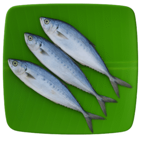 Queen Fish | Leather Skin Fish | Kattaa | Thol Paarai | பாரை-Medium