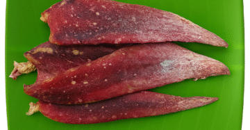 Squid | Cuttle |கனவா