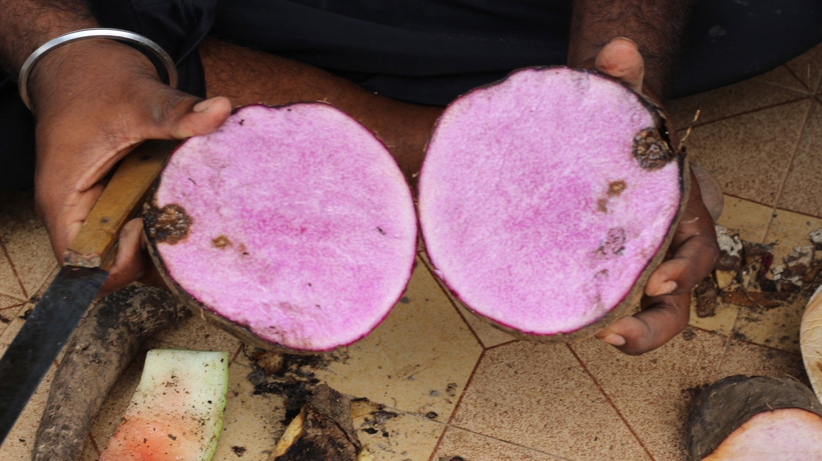 யாரெல்லாம் அரிதான வெற்றிலை கிழங்கை பார்த்து இருக்கீங்க? சாப்பிட்டு இருக்கீங்க?