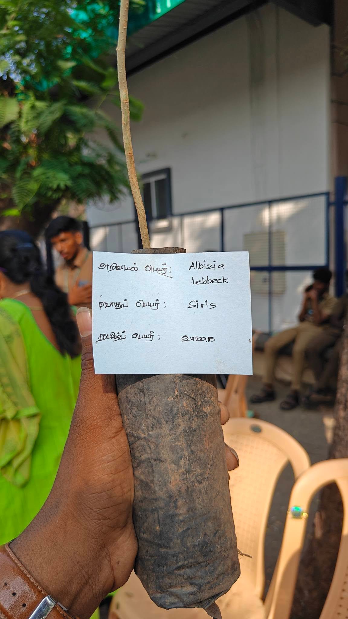 அழிவின் விளிம்பில் உள்ள அரிய கிழக்கு தொடர்ச்சி மலை மரங்களை மீட்டெடுக்கும் இளைஞர் | Tree species diversity in the Eastern Ghats | Tropical Dry Evergreen Forests (TDEFs)