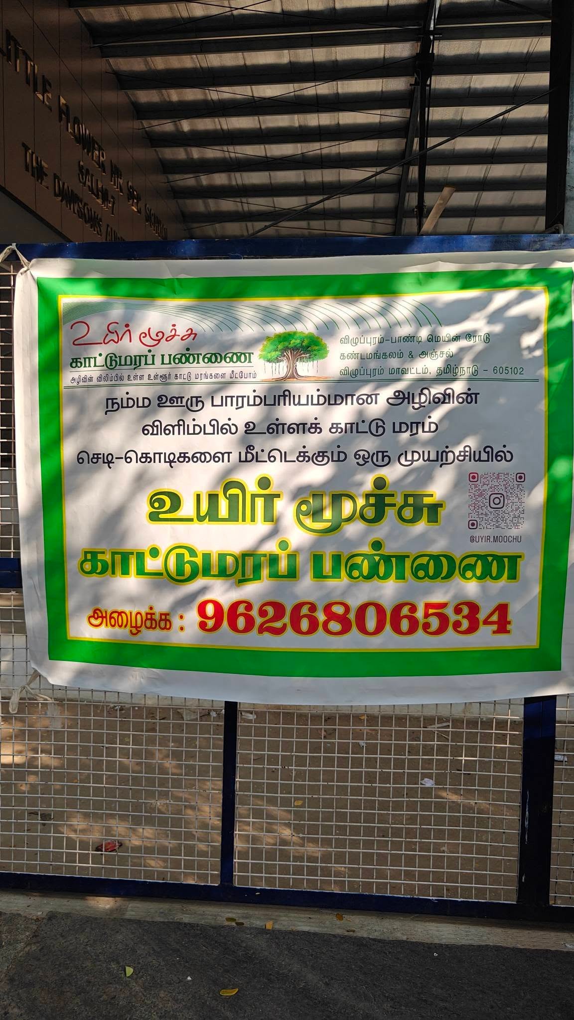 அழிவின் விளிம்பில் உள்ள அரிய கிழக்கு தொடர்ச்சி மலை மரங்களை மீட்டெடுக்கும் இளைஞர் | Tree species diversity in the Eastern Ghats | Tropical Dry Evergreen Forests (TDEFs)